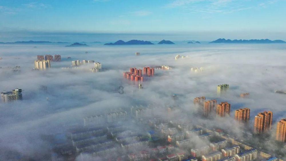 谁知道这个是三叶草那个型号的鞋子游戏画面